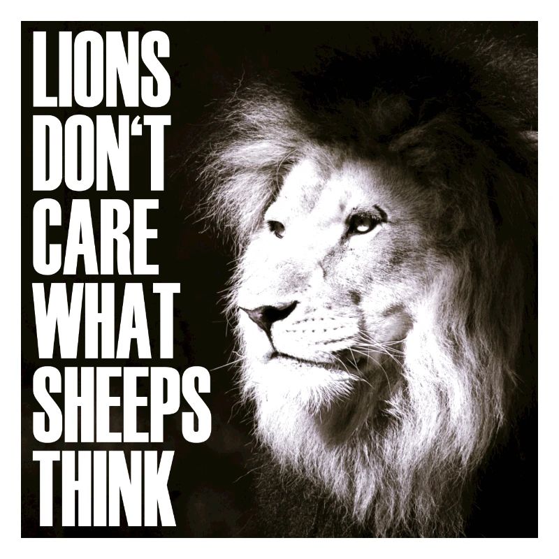 lions don't care