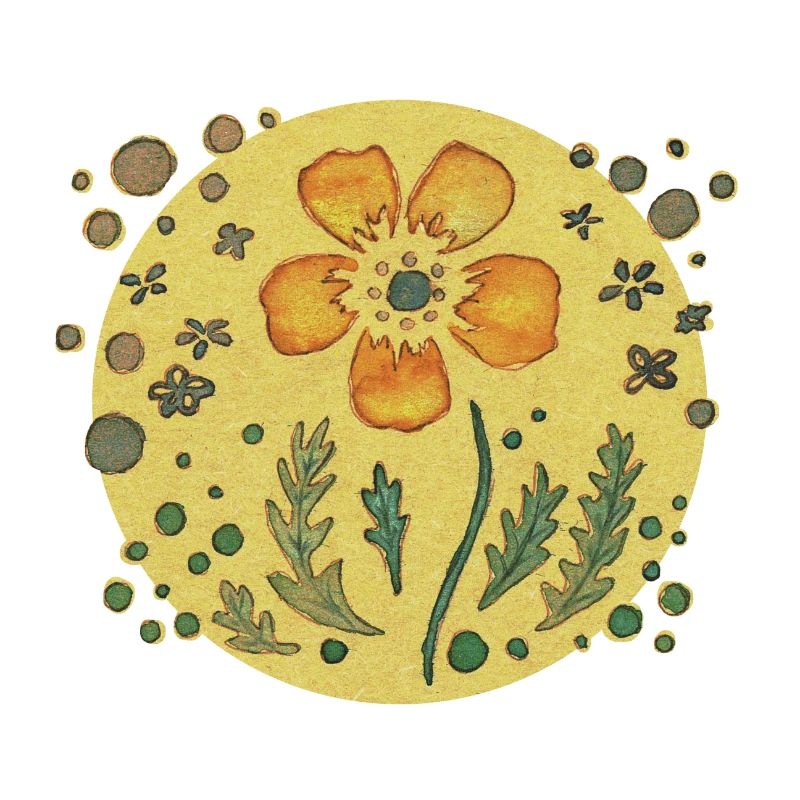 Orangene Blume