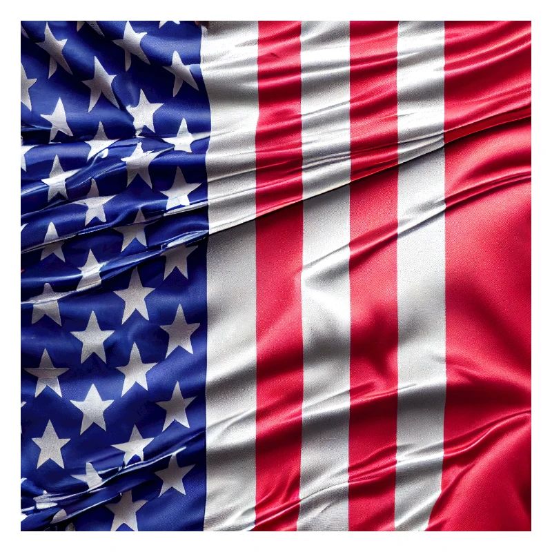 Usa Flagge