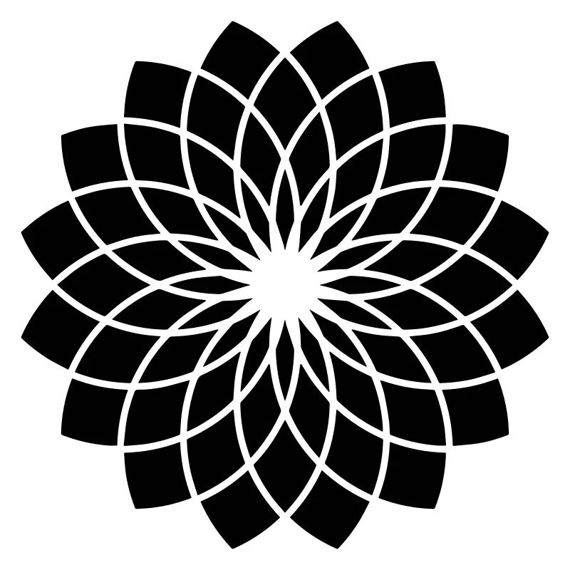The Black Lotus