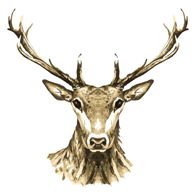 Hirsch