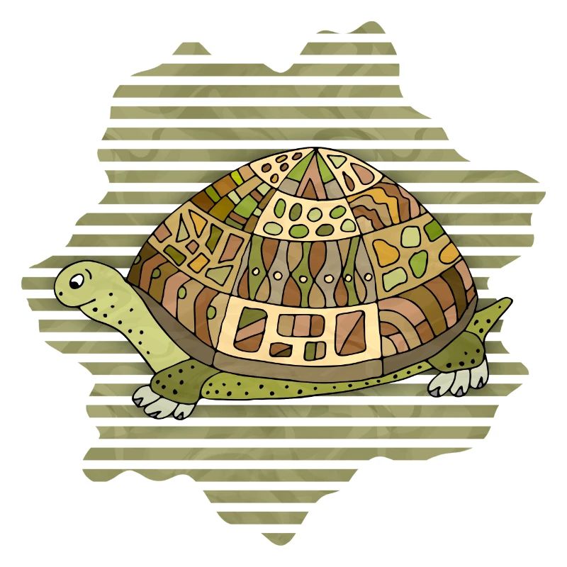 Schildkröte