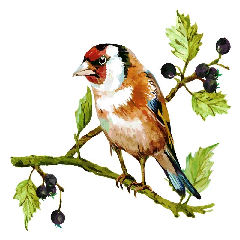 Bunter Vogel