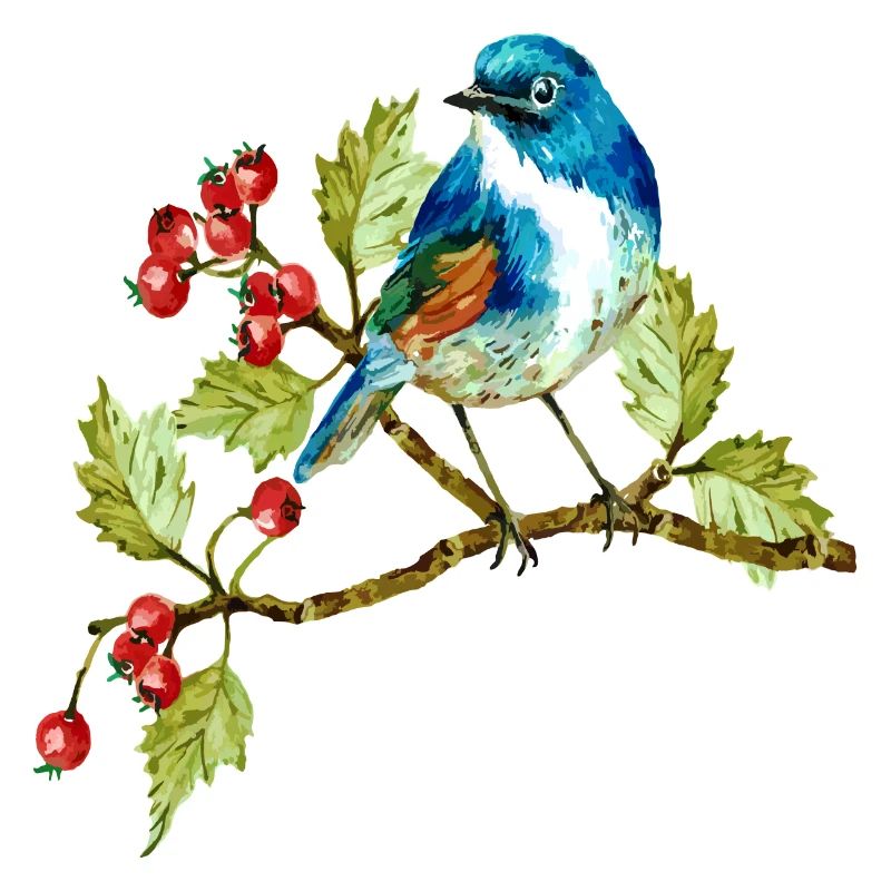Bunter Vogel