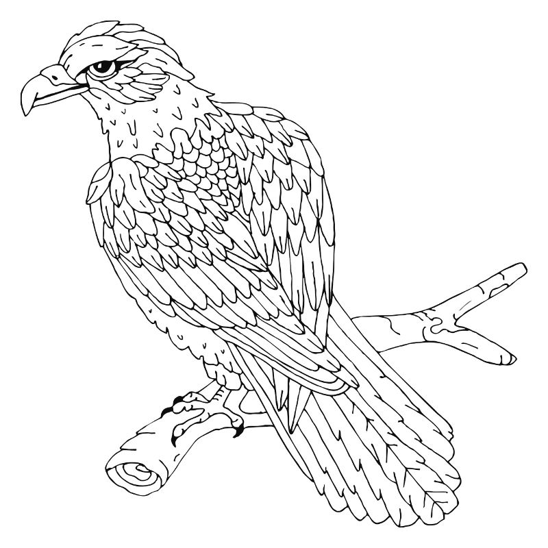 Vogel