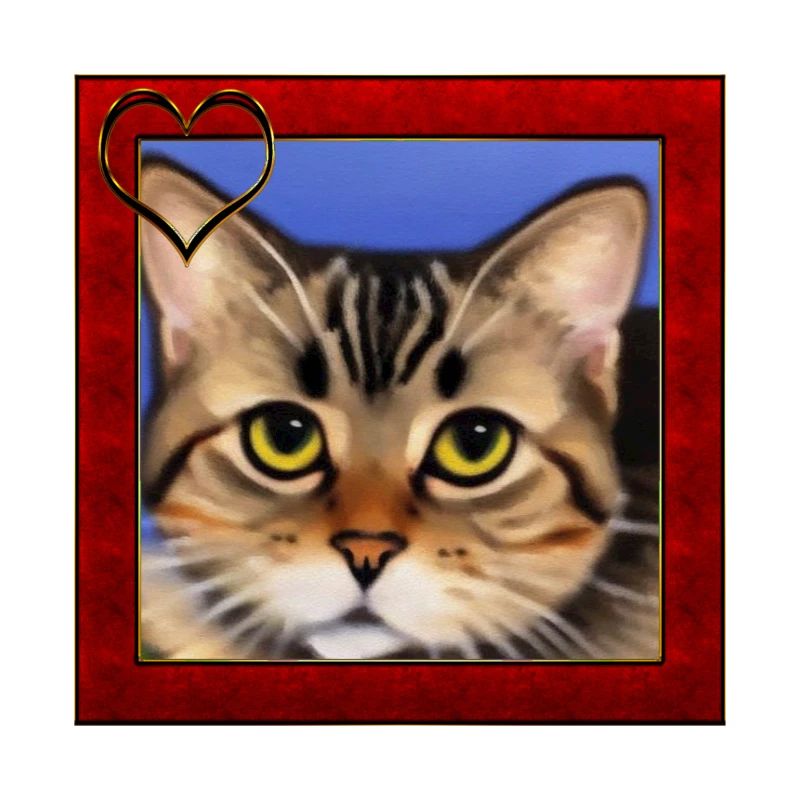 Katzenportrait 8