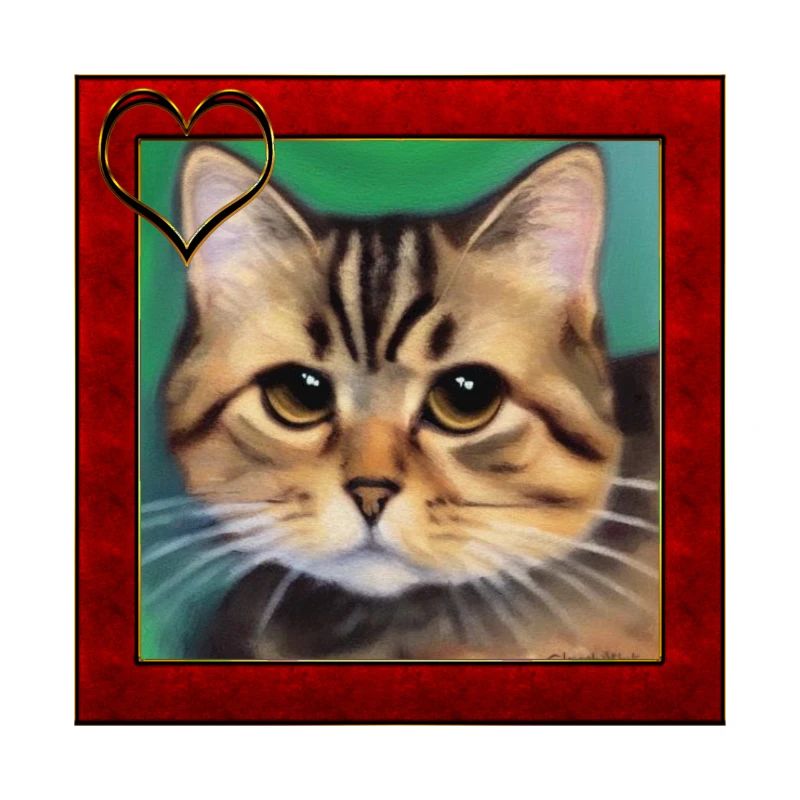 Katzenportrait 6