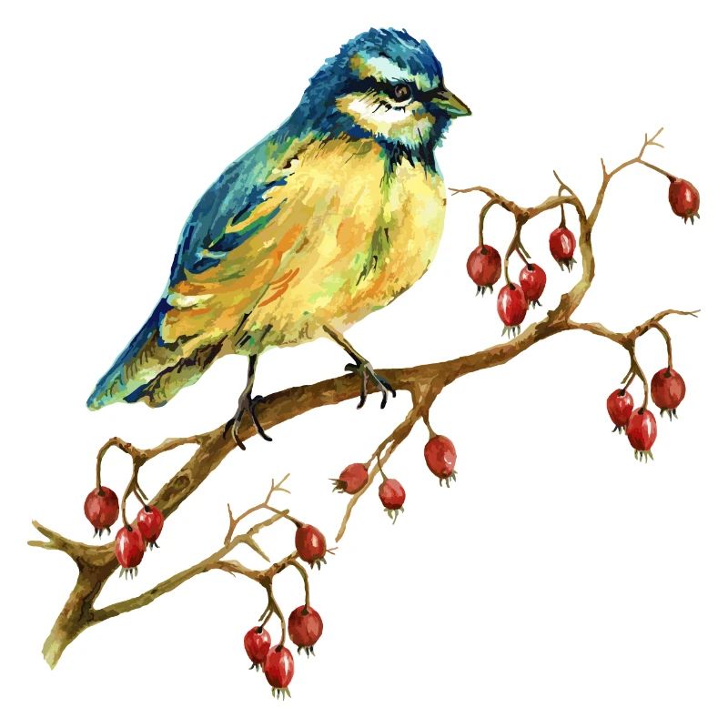 Bunter Vogel