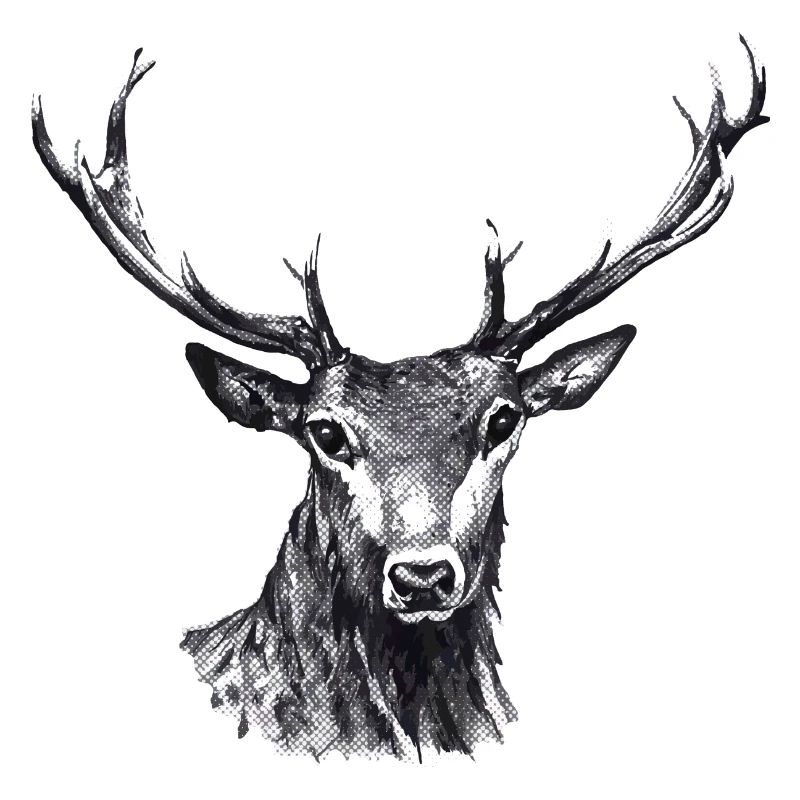 Hirsch