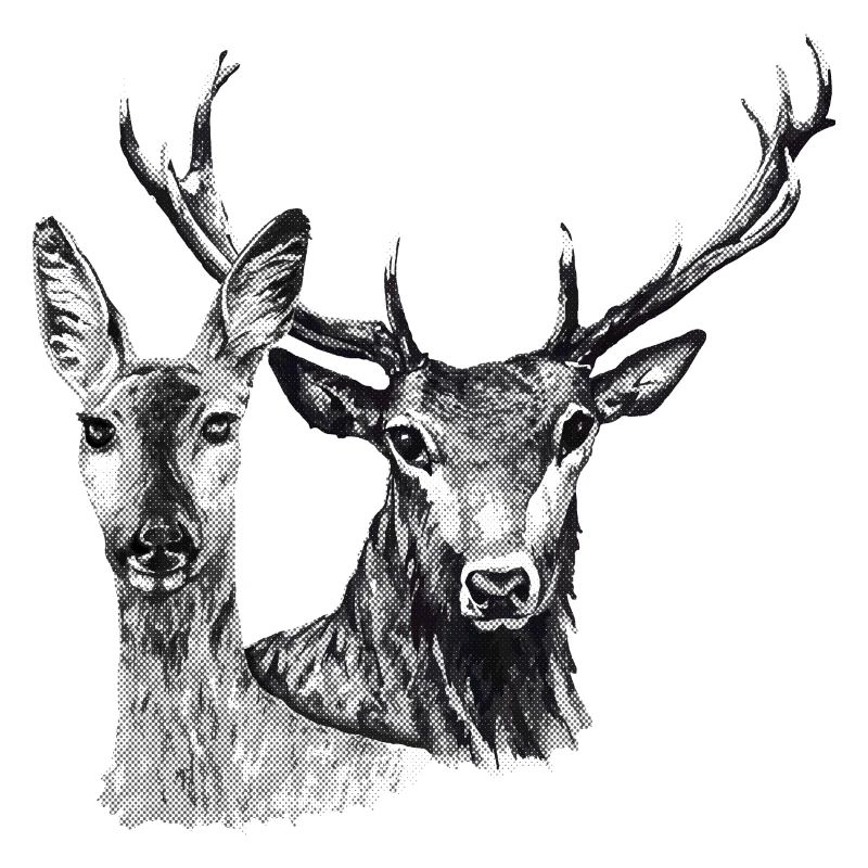 Hirsch und Reh