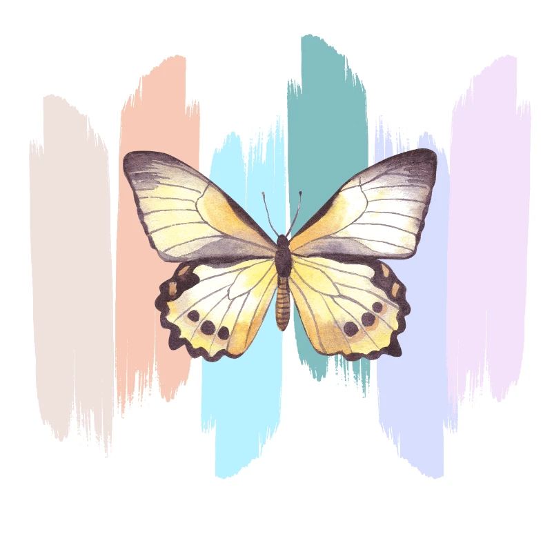 Regenbogen-Schmetterling