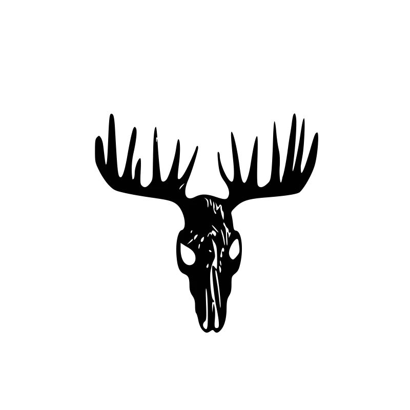 Moose Skull