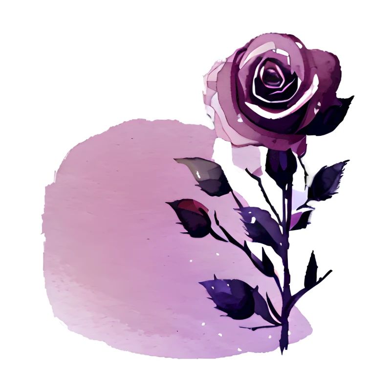 Rose Blume Rosendesign