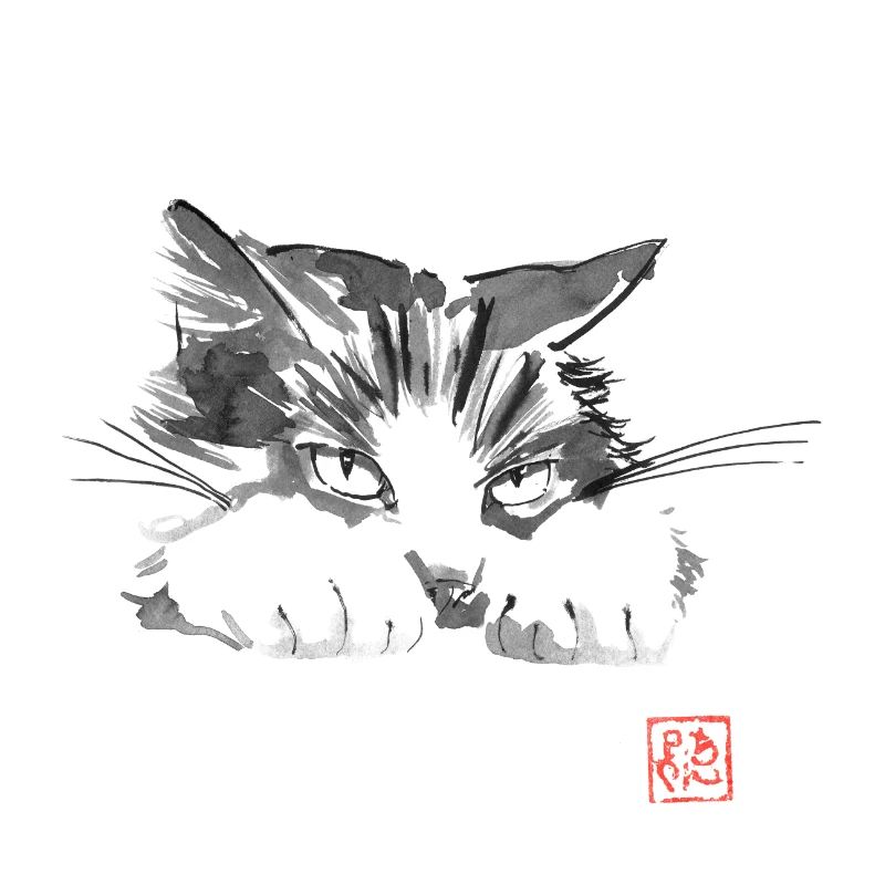 Katze mürrisch