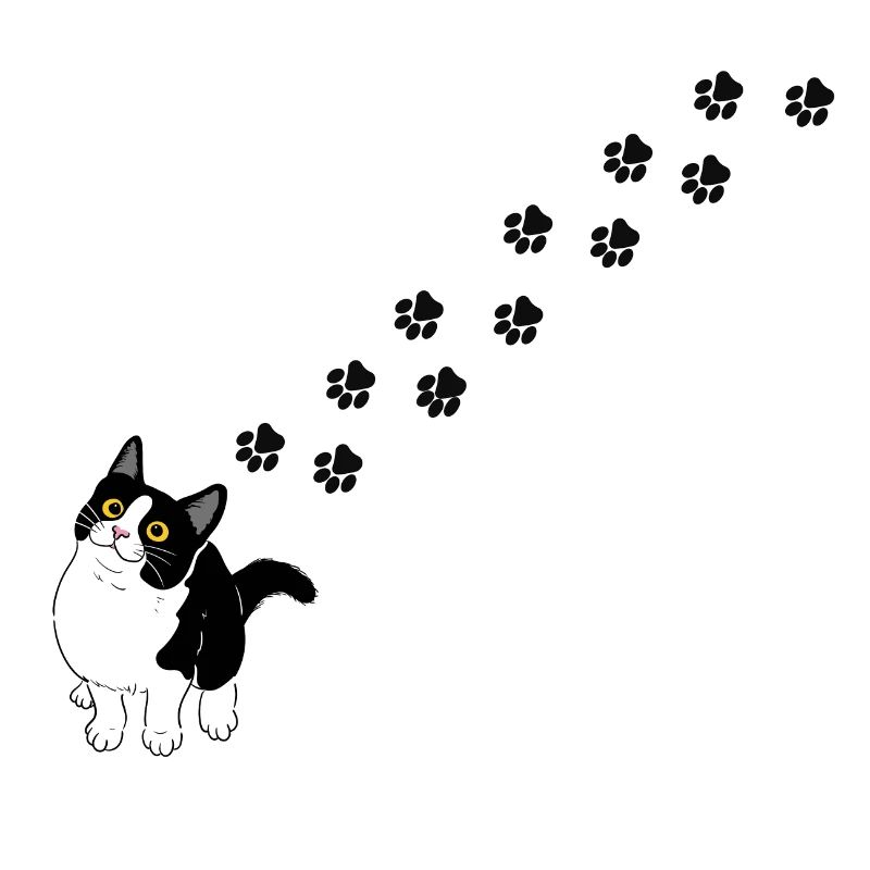Katzenpfoten