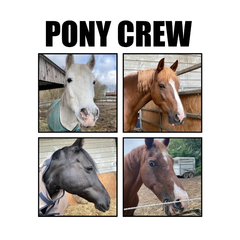 PONY CREW