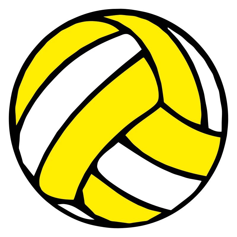 Beachvolleyball Beachball 2510