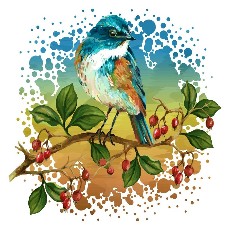 Bunter Vogel