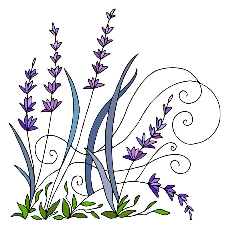 Lavendel