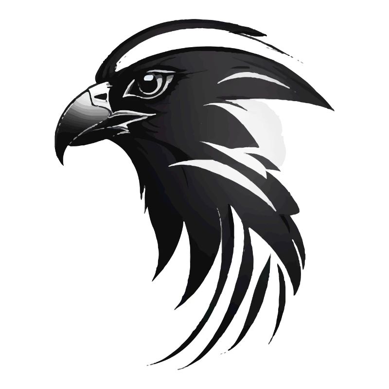 Adler Greifvogel Kopf