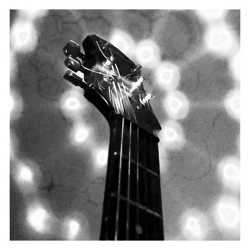Guitar-Head (black&white)