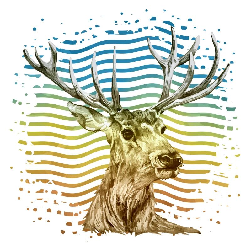 Hirsch