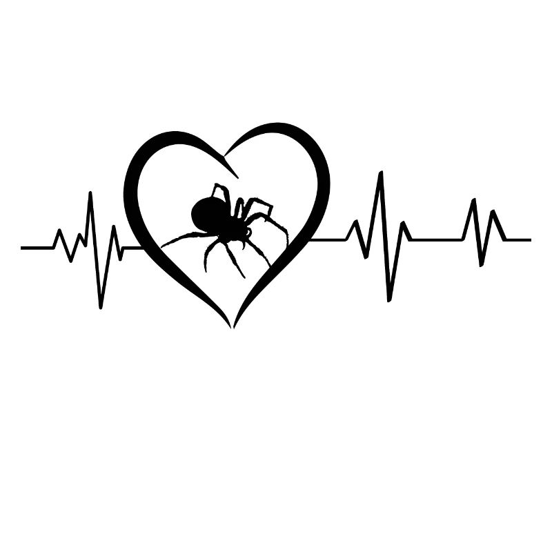Herzschlag der Spinne
