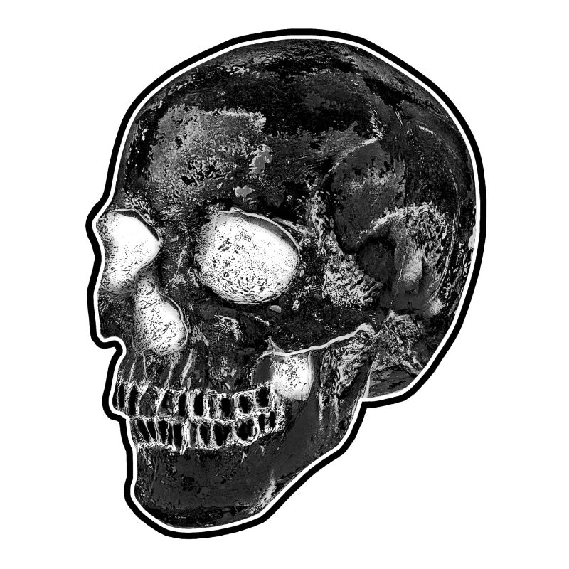 KLASSISCHER SCHWARZ-WEISSER TOTENKOPF