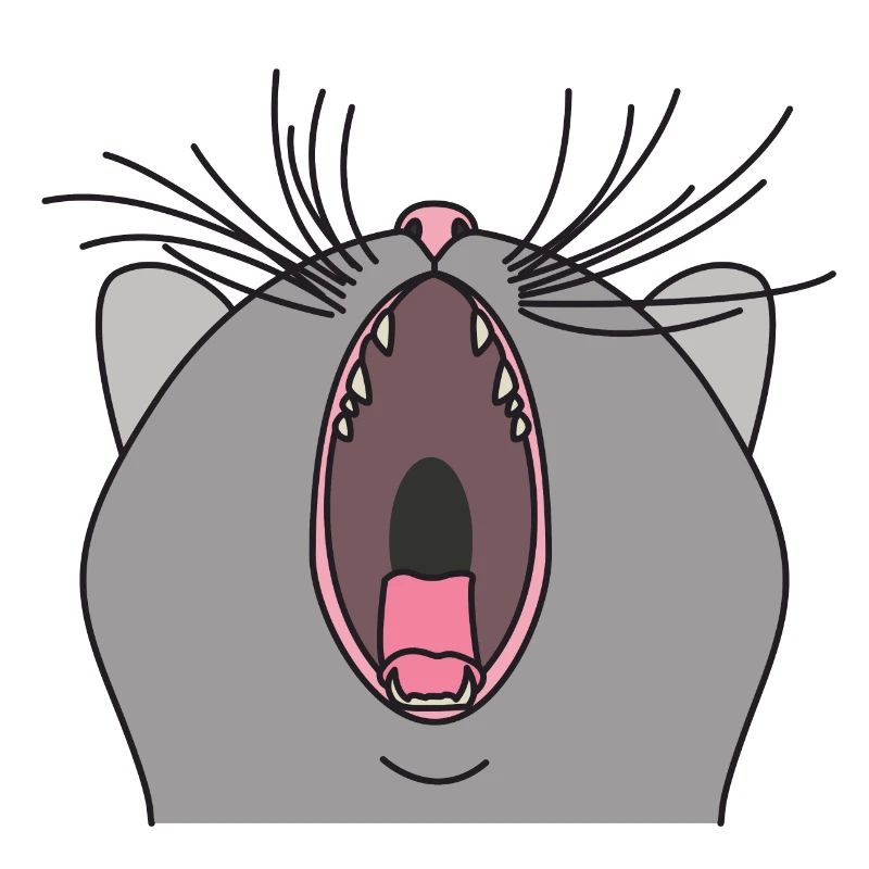 Gähnende Katze