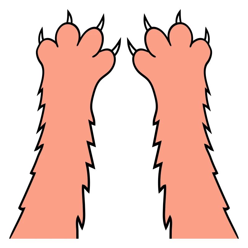 Cats, claws, paws, paws, sharp claws, scratching