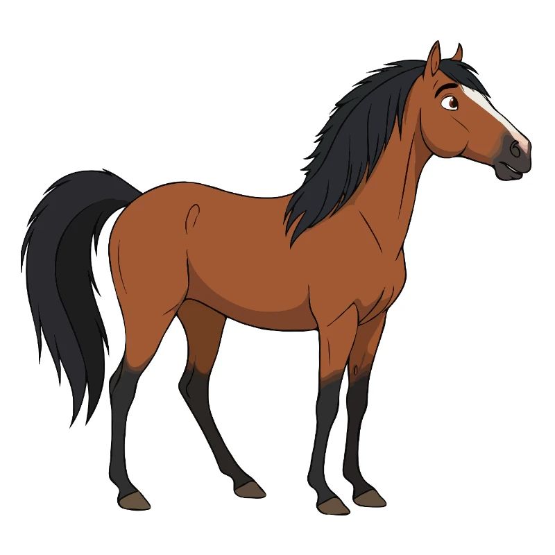 Konik Pferd echt