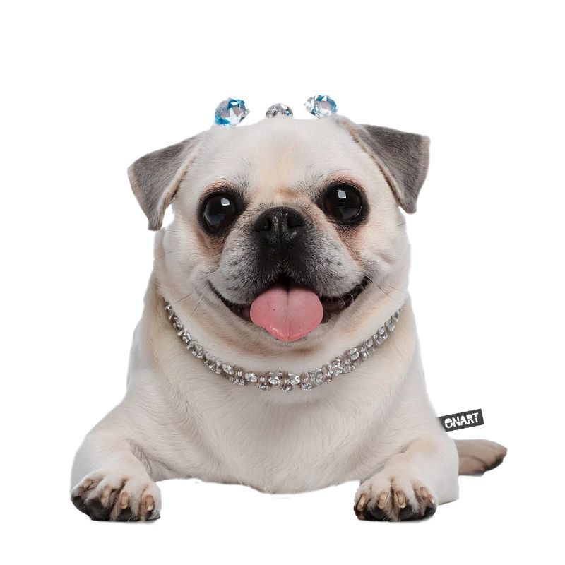 Mops weiß