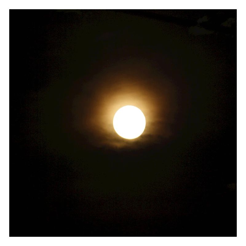 Mond