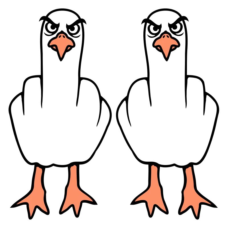 2 Seagulls Middle Finger Insult Stinkfinger Team
