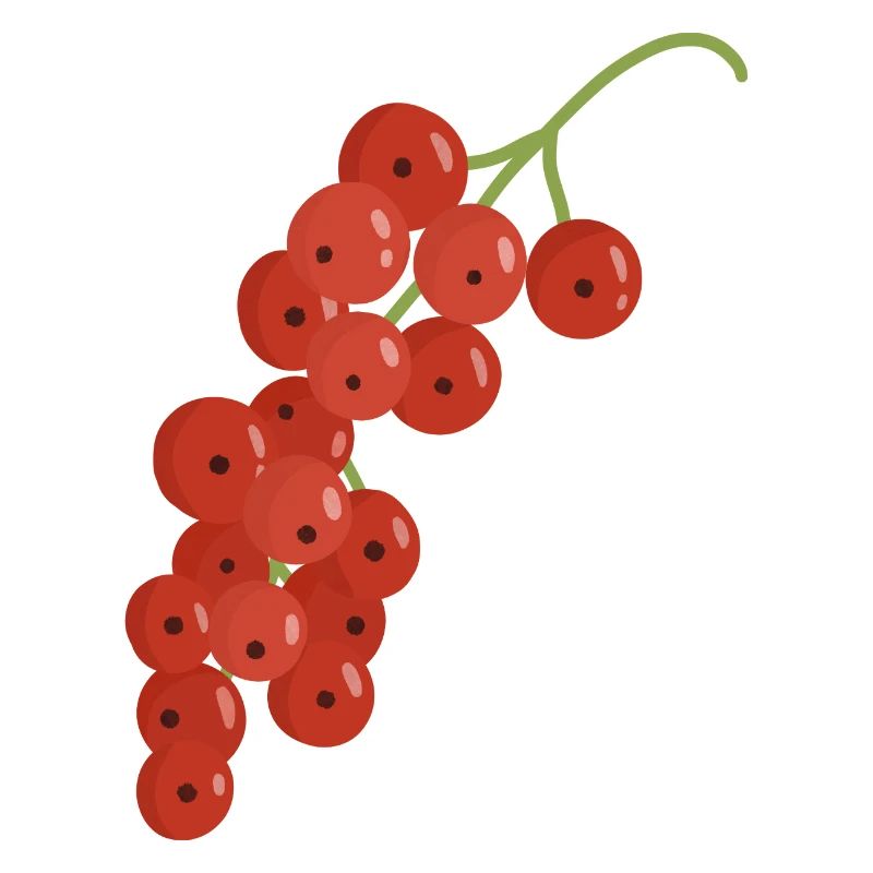 Rote Johannisbeeren
