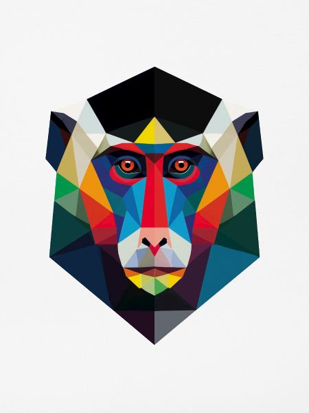 Geometrischer Affenkopf Kunstdruck