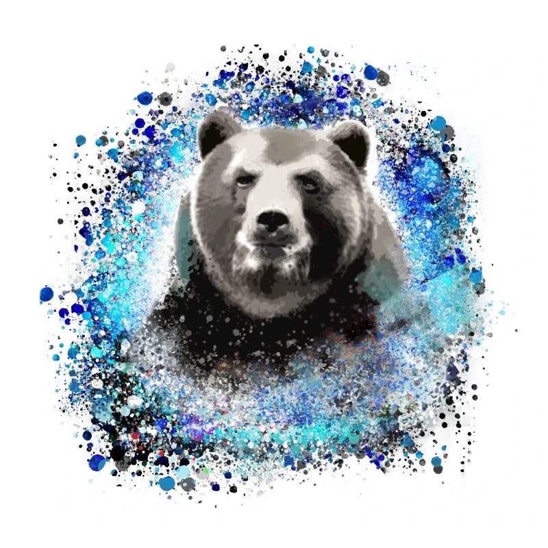 Bär, graffiti, blau,malerei,blau