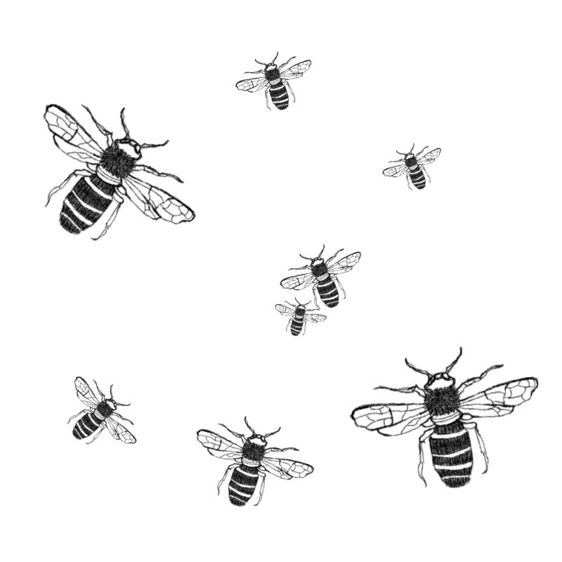 Bienen