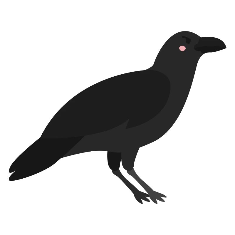 Krähe