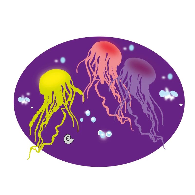 Méduse multicolore