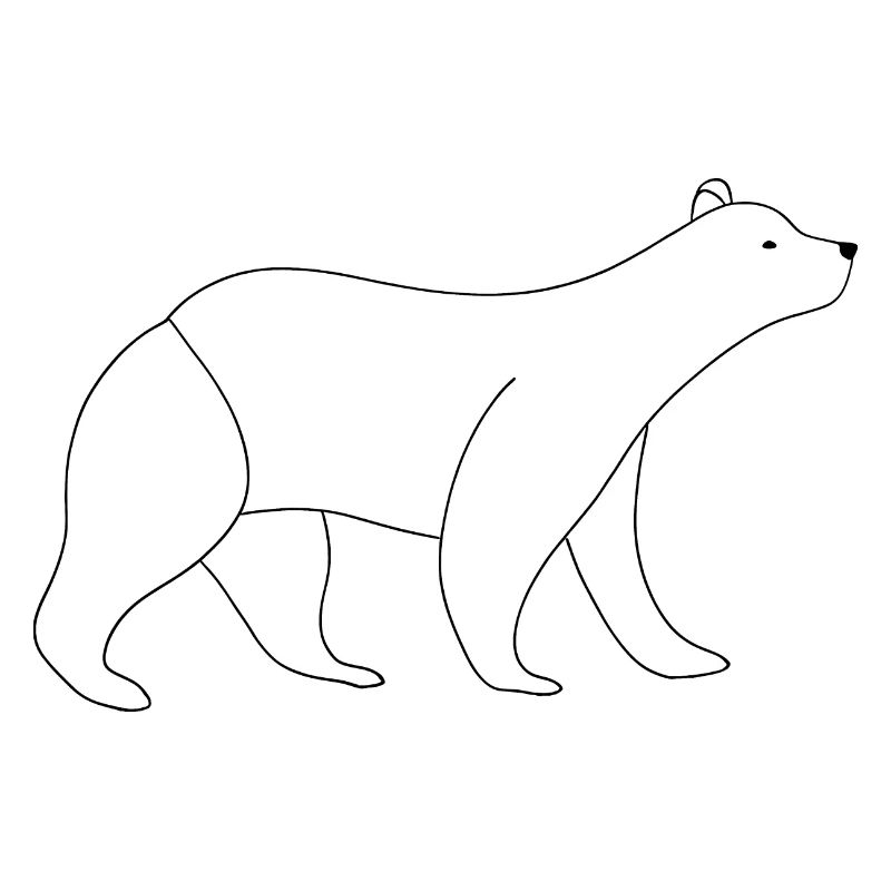 Bär feine Linienkunst