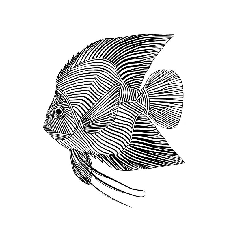Lines art fish #fish