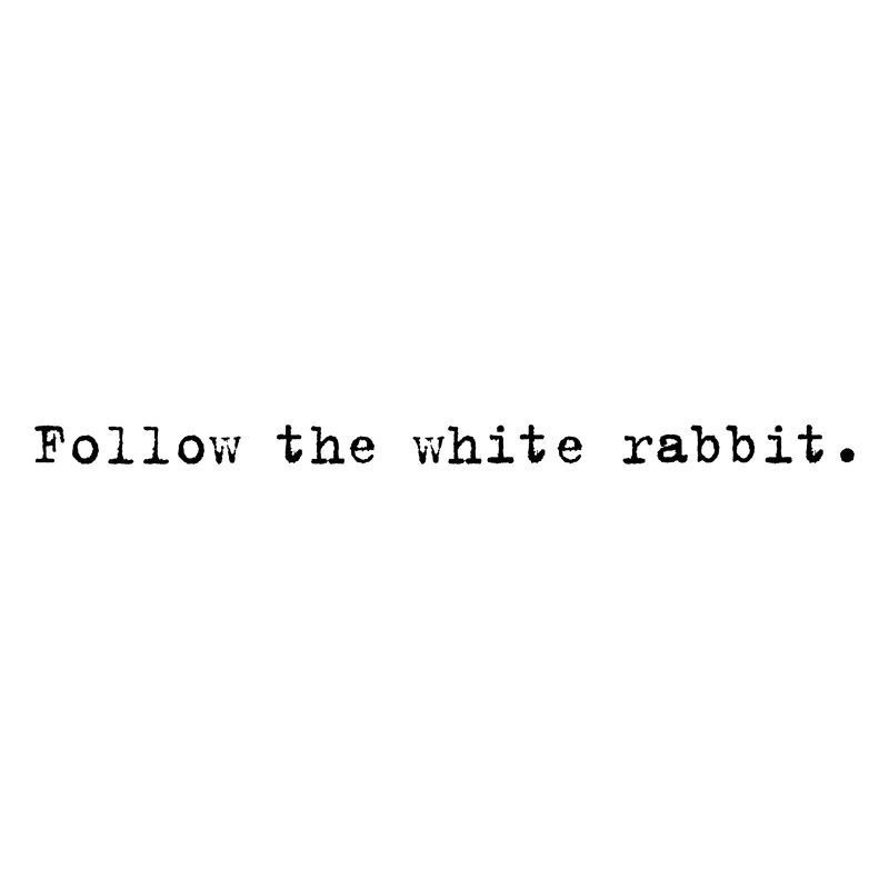 Follow the white rabbit Programming Informatique