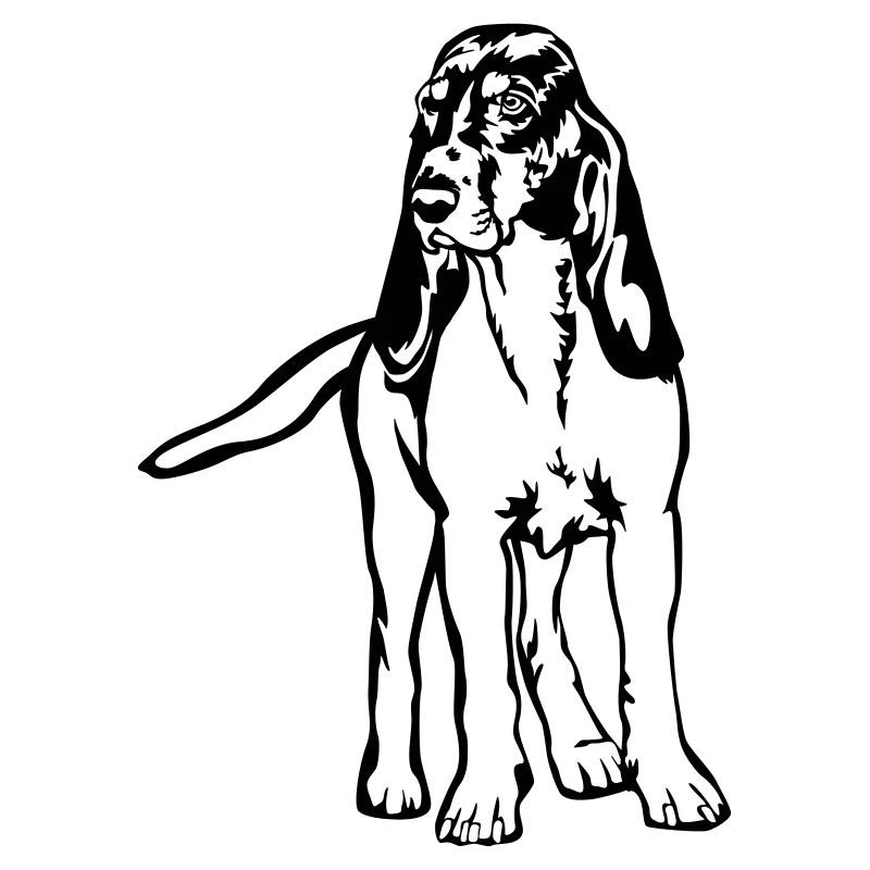 Berner Laufhund