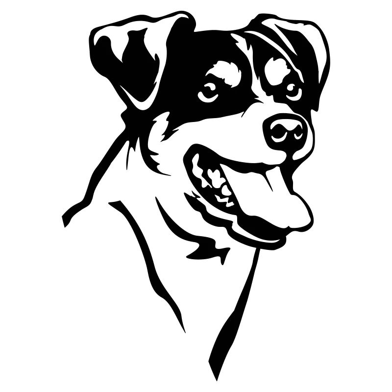Bodeguero Andaluz Kopf