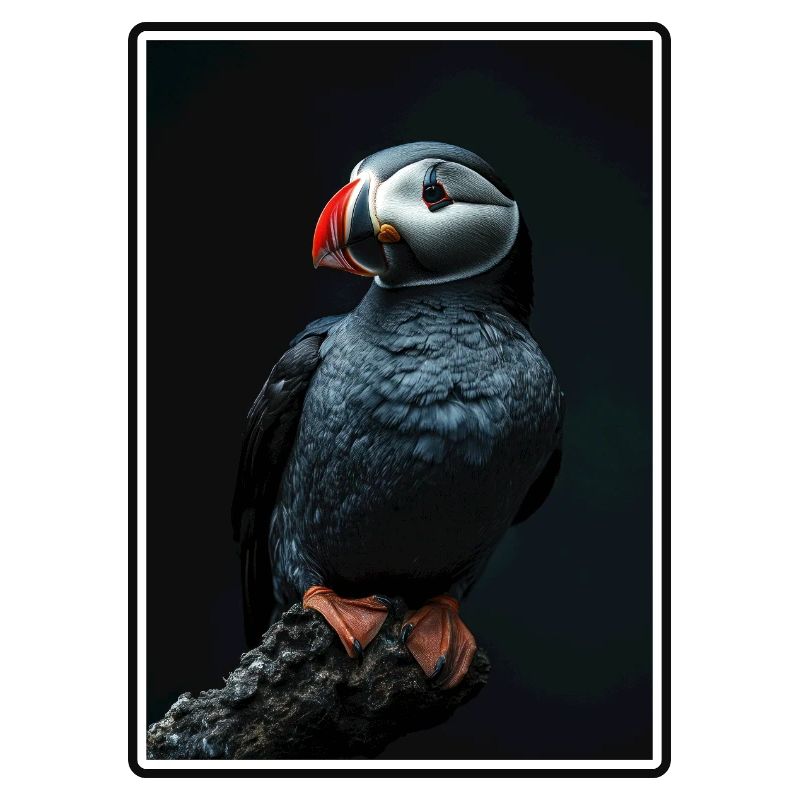 Puffin Papageientaucher