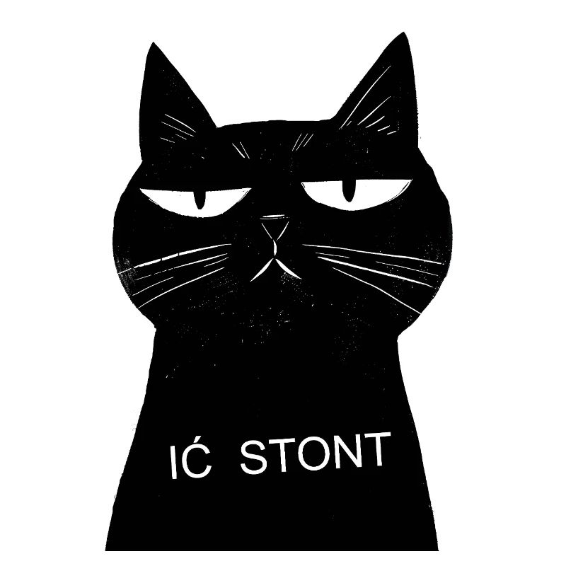 Cat Noir und Stont