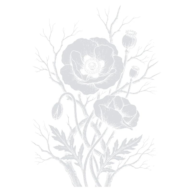 Mohnblumen