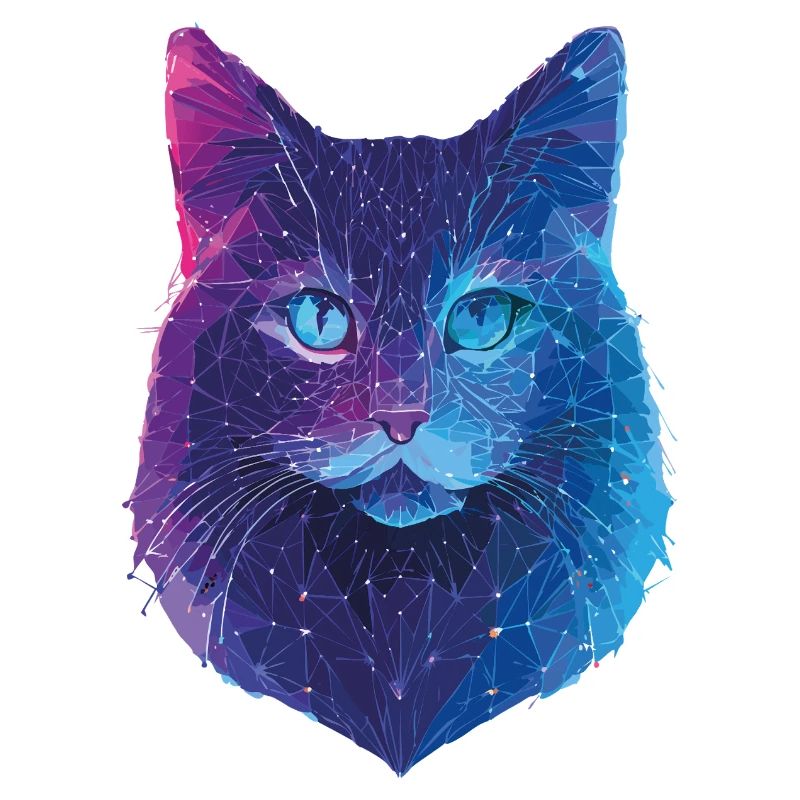 Galaktische Katze
