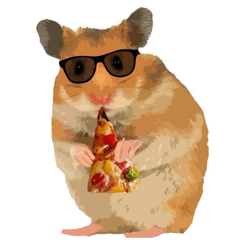 Hamster Pizza Sonnenbrille